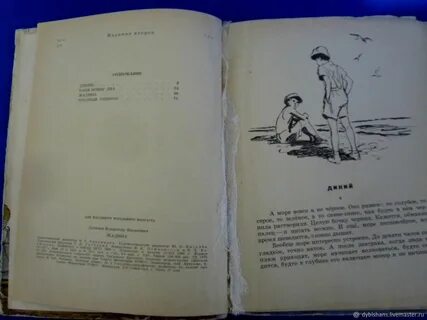 Провинциальный дневник дзен