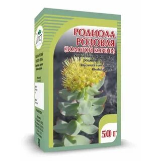 Золотом корне родиола розовая