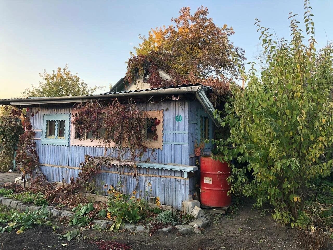 Садовый участок в каменске уральском. Садовый участок в коллективном саду. Авито сады и дачи каменск-уральский. Садовый участок в коллективном саду. Богатенково.