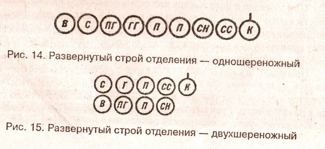 Перестроение отделения. Развернутый двухшереножный Строй. Развернутый Строй отделения - двухшереножный. Развёрнутый Строй отделннря. Развернутый Строй взвода одношереножный.