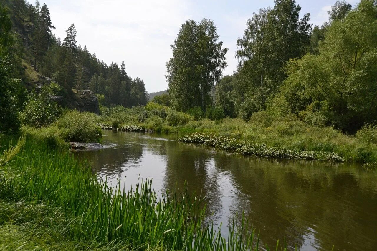 Реки россии оренбург. Река Сакмара Оренбургская. Река Сакмара Оренбург. Река Сакмара Кувандык. Река Сакмара Башкирия.