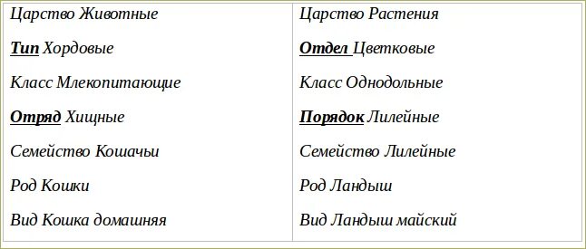 Список слов и словосочетаний царство тип класс. Царство Тип класс род. Царство Тип класс вид. Класс отряд семейство род вид. Род вид класс семейство царство.