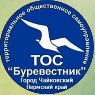 Буревестник вакансии
