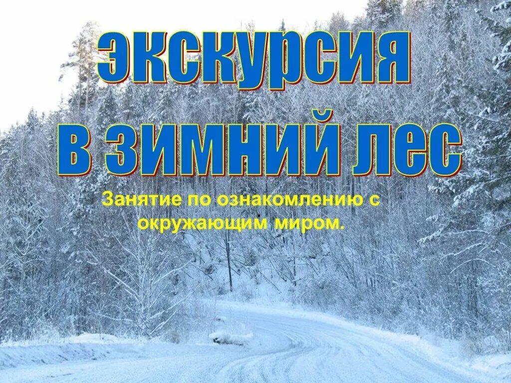 Виртуальная экскурсия 2 класс окружающий мир. Урок экскурсия в зимний лес. экскурсия в лес зимой. путешествие в зимний лес презентация. экскурсия по зимнему лесу.
