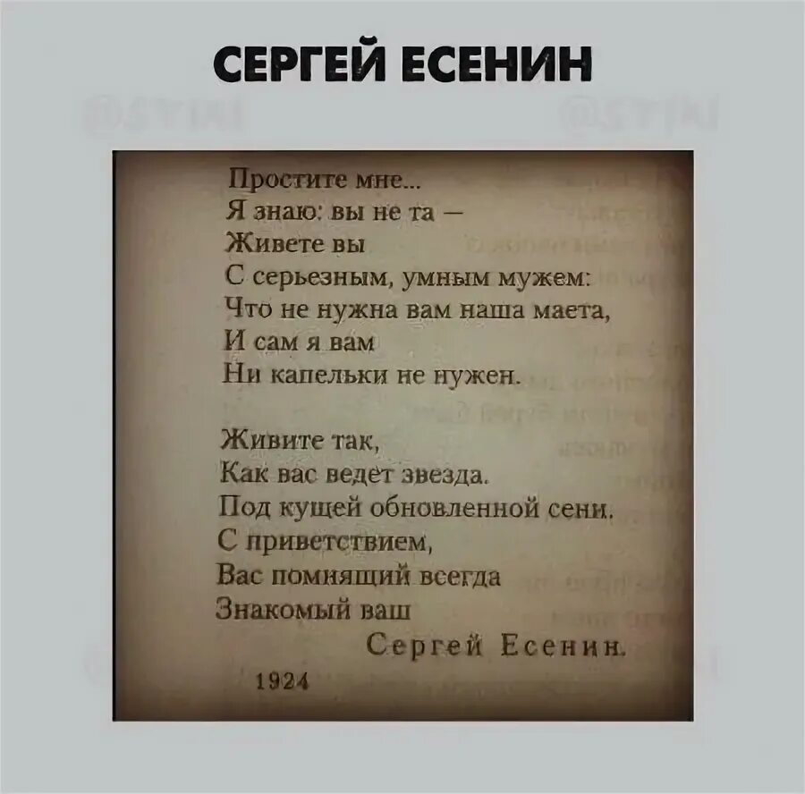 Глупая литература. Глупое стихотворение. Стихи про глупых людей. Тупые стихи поэтов. Нормальные стихи.