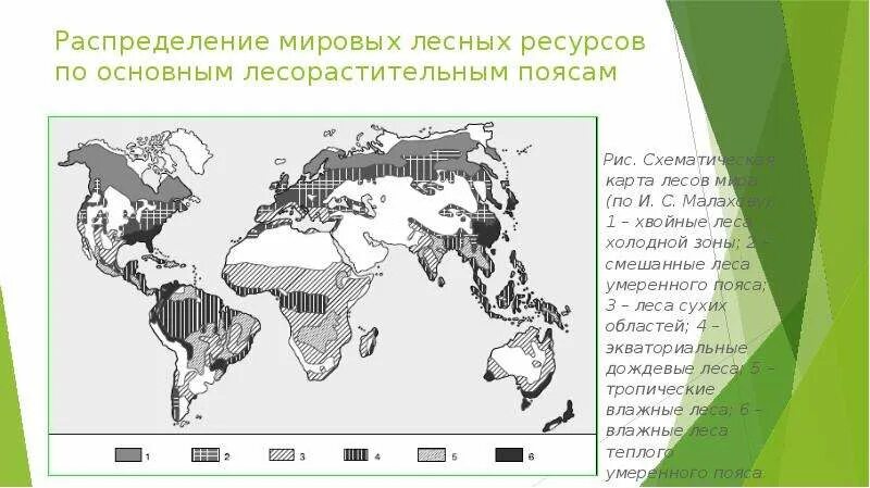 Регионы россии богатые лесными ресурсами. Мировые Лесные ресурсы. Лесные ресурсы карта.