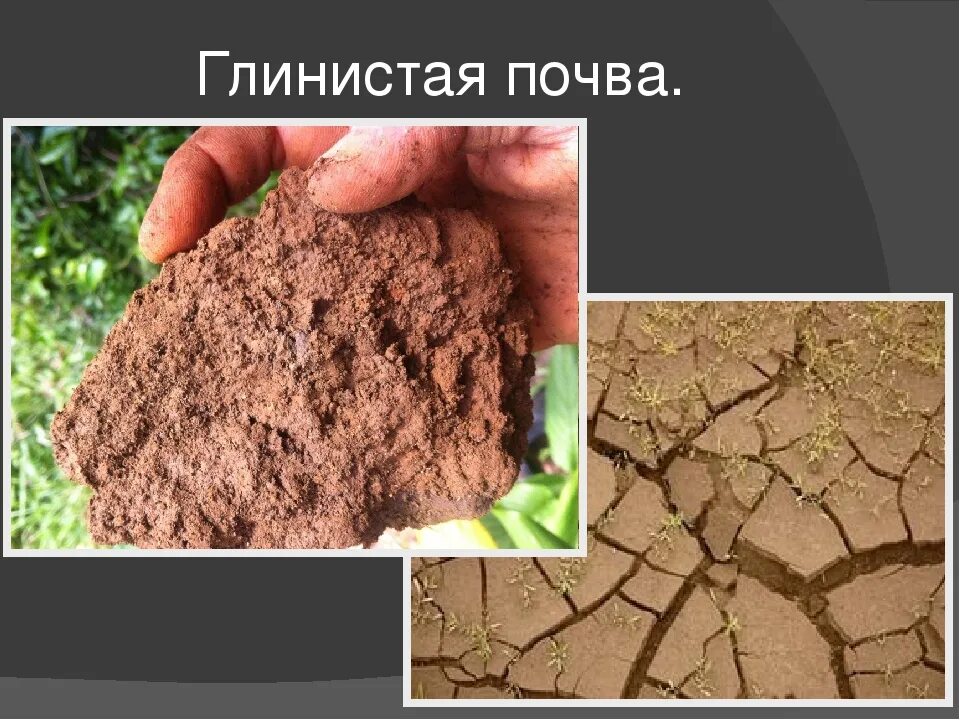 Этот тип почвы отличается. Состав почвы суглинок супесь. глинистая суглинистая супесчаная песчаная. типы почв песчаная супесчаная. типы грунтов супесь суглинок.