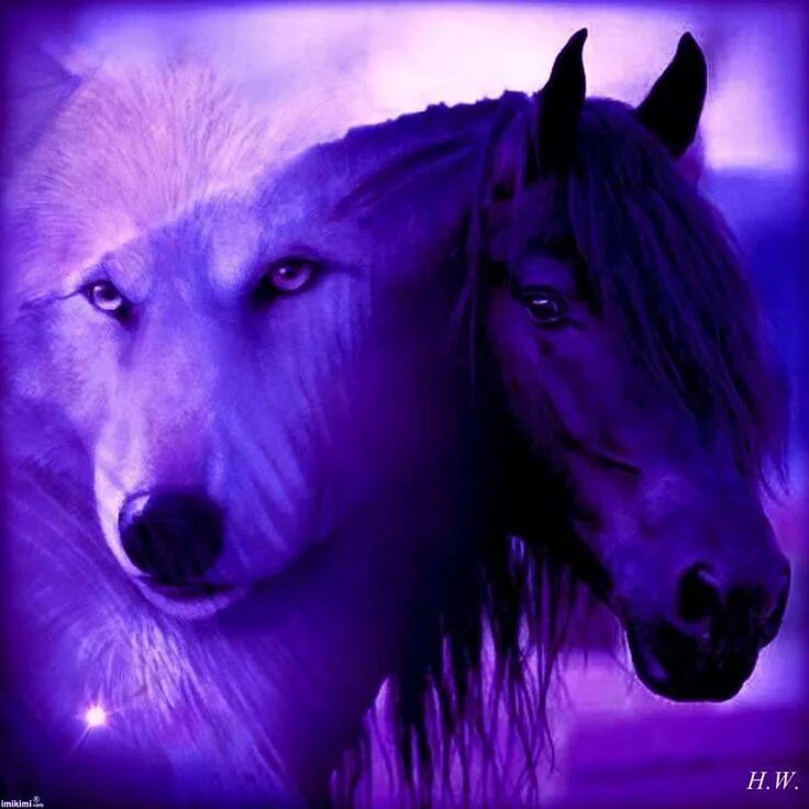 Красивые лошади и волки. Арты лошадей. Волк и лошадь. Красивые лошади и волки. Заставка на рабочий стол лошади.