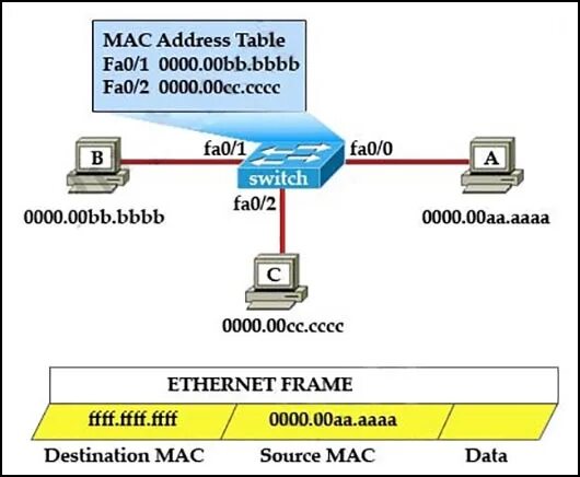 Show mac address table. Mac address cisco. mac address table. cisco mac address table. sh mac address-table cisco.