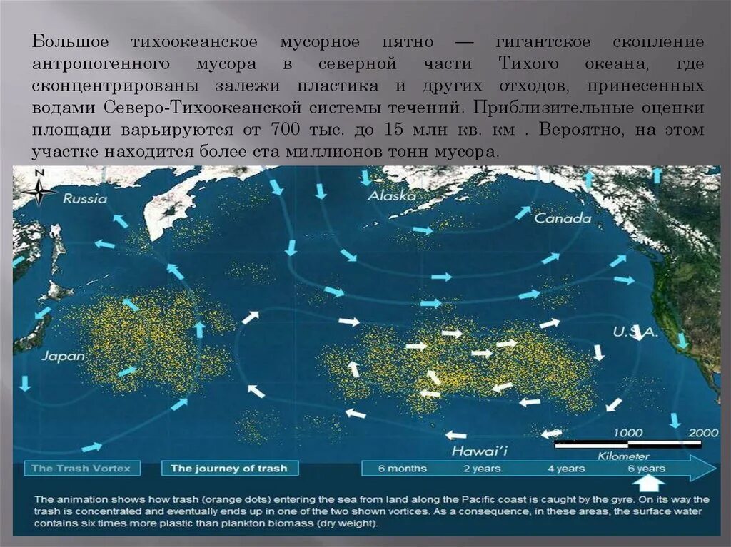 Мусорный континент расположен в океане