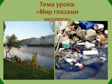 Сообщение на тему мир глазами эколога