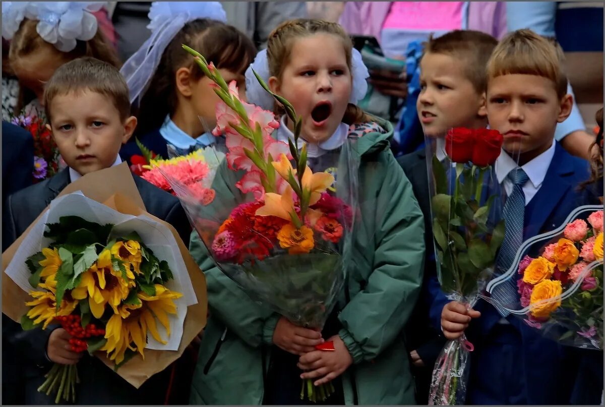 12 го сентября. Школа 1 сентября. линейка 1 сентября. день знаний фото. дети в школе 1 сентября.