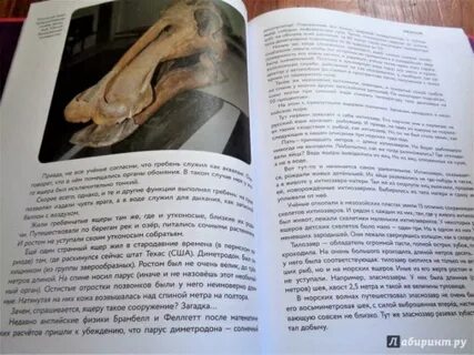 Читать исчезнувший мир