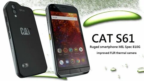 Cat s 0