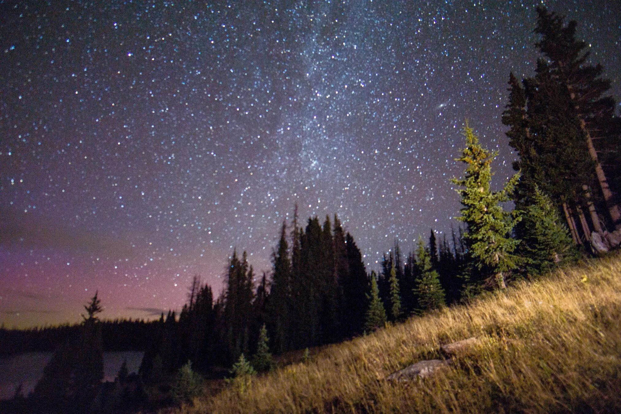 Above the stars in the field