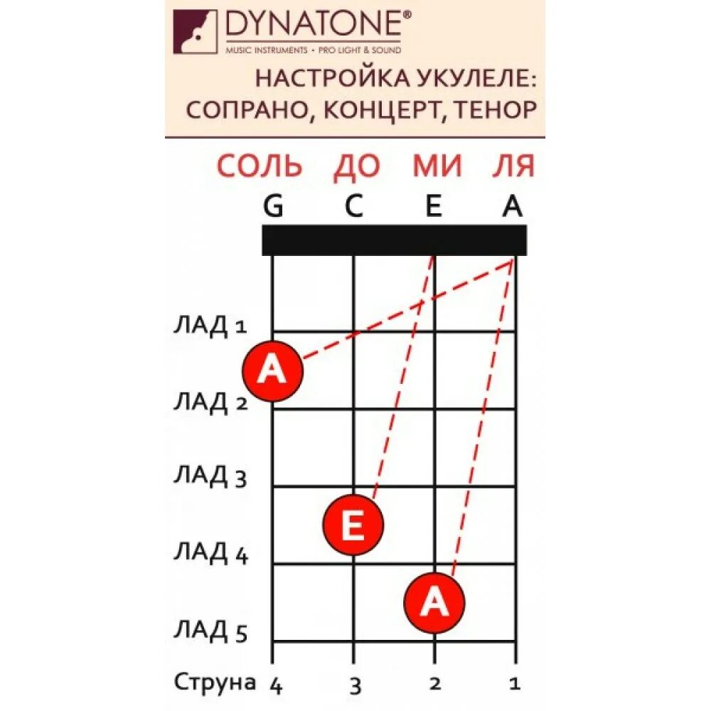 Строй укулеле сопрано. Расположение струн на укулеле сопрано. Порядок струн на укулеле сопрано. Укулеле 4 струны. Струны для гитары новичкам