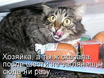 Думаю попробовать