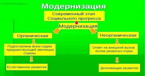 Органическая и неорганическая курица