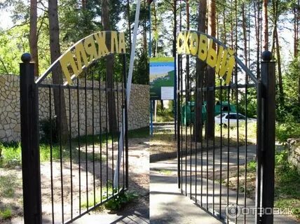 Солнечное санкт петербург отзывы отзывы
