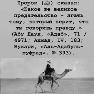 Да я правду скажу