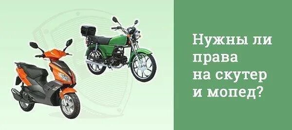 Управлять скутером со скольки лет. Мопед Альфа 110 категория прав.