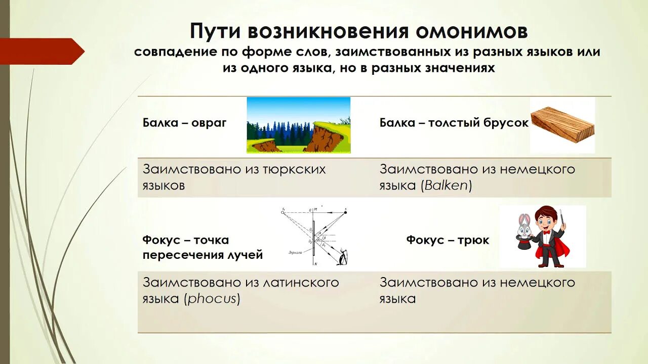 Жизнь омоним. Омонимы. омомииды. омонимы 5 класс. рисунок по теме омонимы.