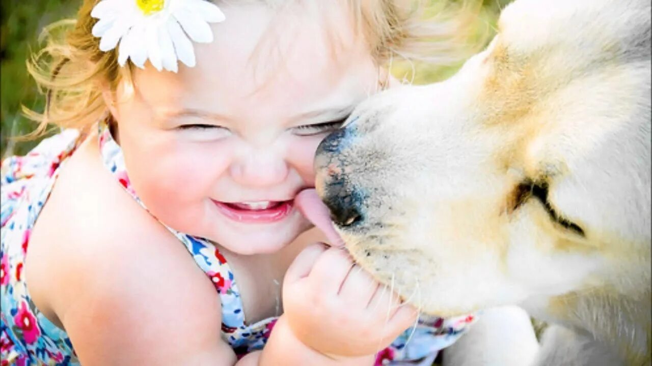 Сердце наполненное любовью. Добрые поступки. Ютуб про добро. Доброта картинки. Милосердие к животным.