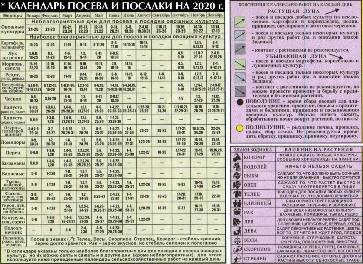 Лунный календарь для посева. Календарь посева семян. Лунный календарь для посадки расад. Благоприятные дни для посадки. Посевной календарь огородника 2020 год