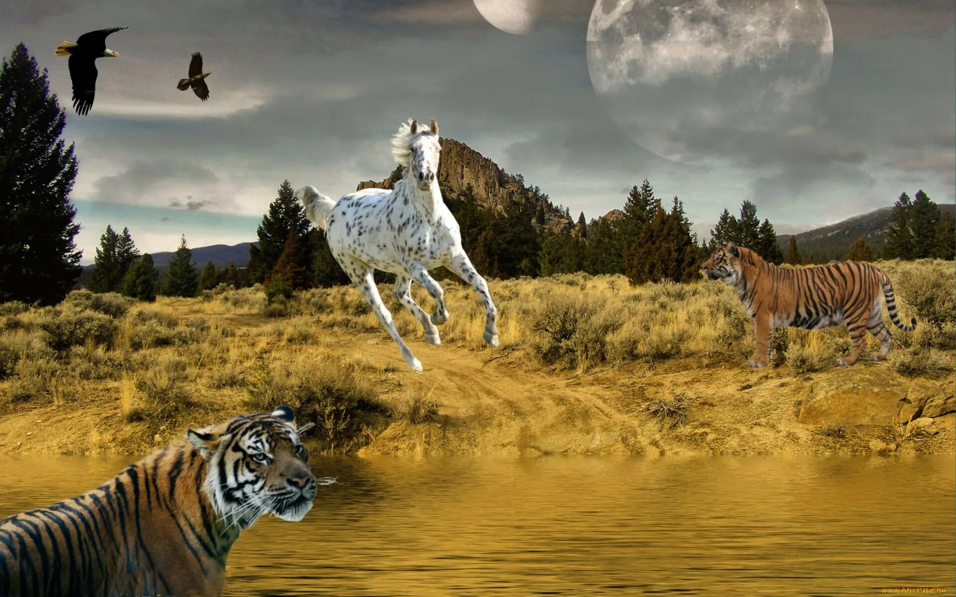 Мифический тигр. Тигриная лошадь. Грива тигра. Tiger horse. Тигр и лошадь.