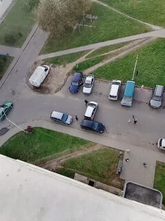 Чп могилев