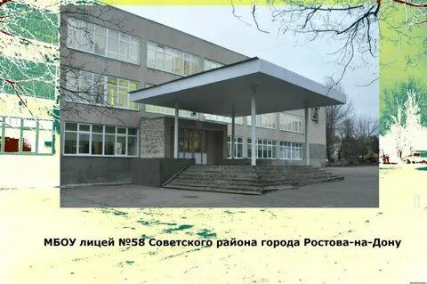 Сайт 56 лицей ростов