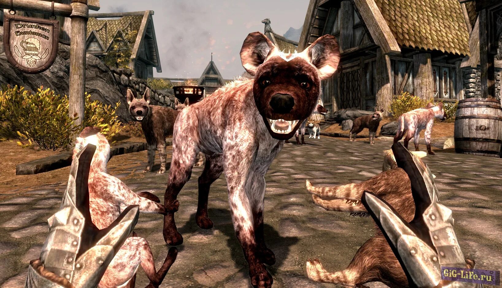 Animals skyrim. Игра про гиену. Гиена из игры. The Elder Scrolls гиены.