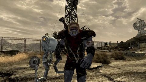 Fallout 8