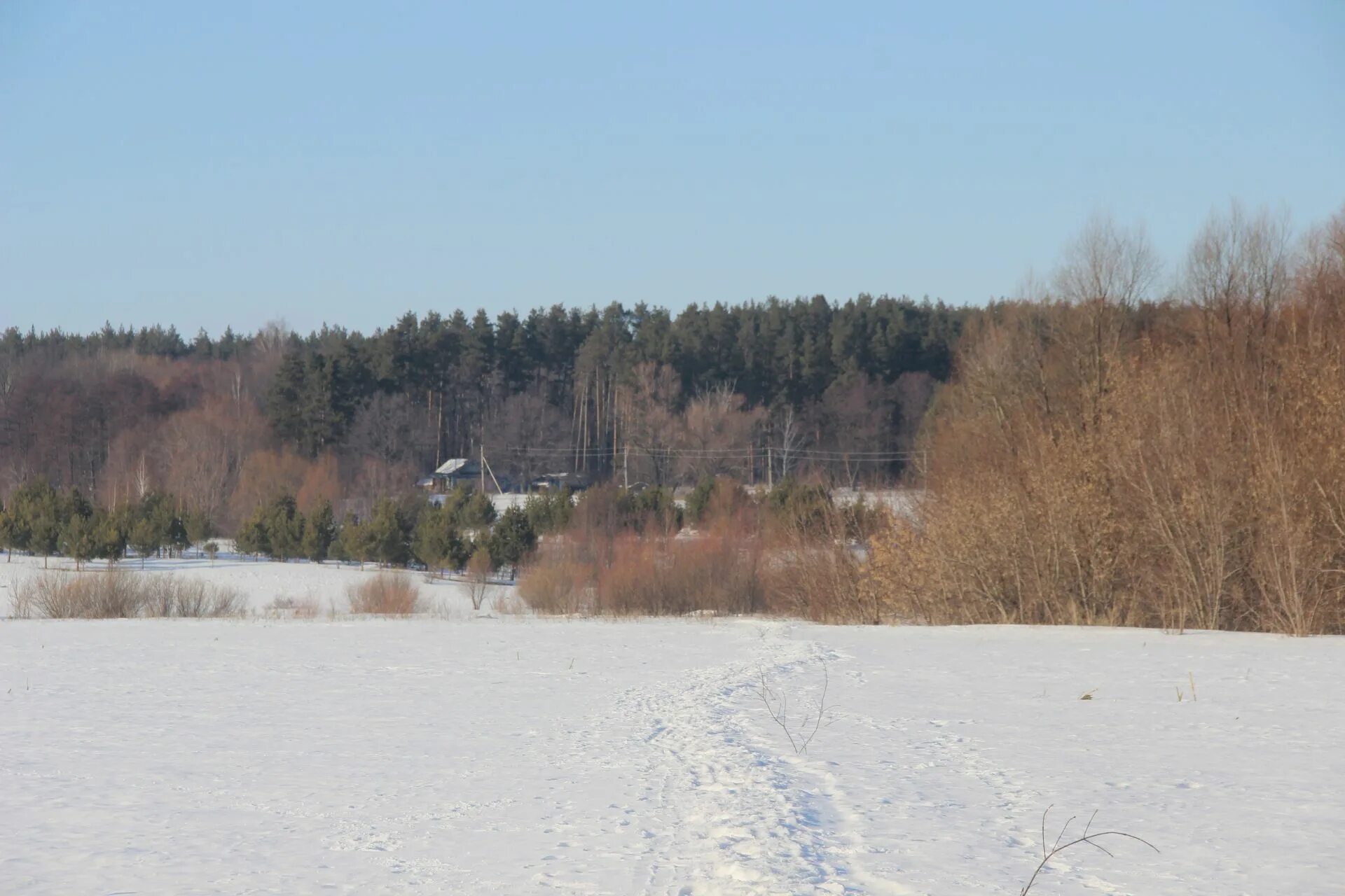 Деревня отрада. Поселок отрада ульяновск. Деревня отрада-1 клинский район. Деревня отрада. Деревня отрада.