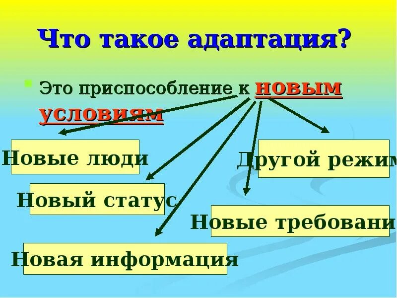 Адаптация. Адаптация 2. Адаптация это простыми словами. Приспособление к новым условиям. Заменить слово адаптация