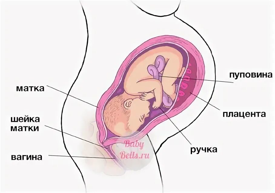 Стимуляция родов на 41 неделе