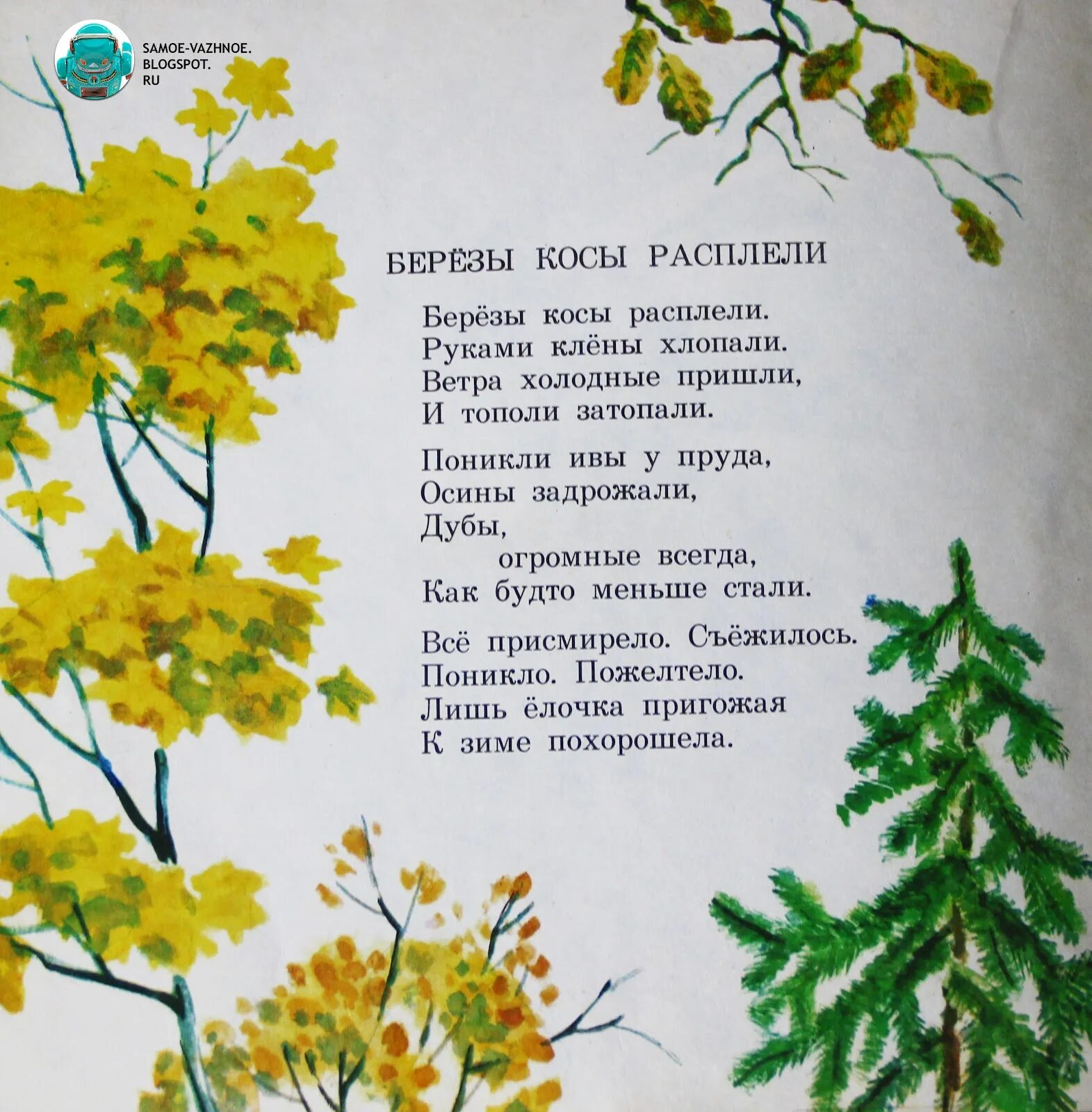 М Садовский осень стихотворение. Стихотворение для детей Садовского осень. Березы косы расплели руками клены хлопали. Стихотворение березы косы расплели. Клен и береза текст