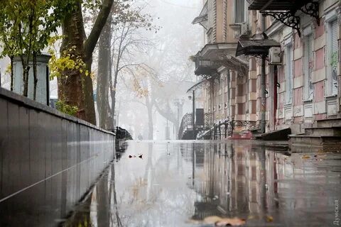 Пасмурный день на улице