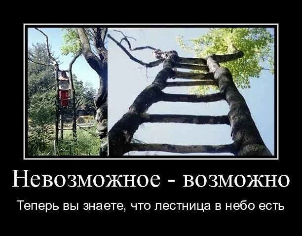 Невозможное возможно смысл. Невозможное возможно. Фотографии невозможное возможно. Все невозможное возможно картинки. Невозможное возможно цитаты.