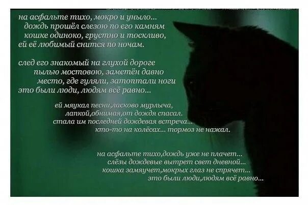Стихи о котах которые ушли. Стихи посвященные кошкам. Стихи кошкам ушедшим на радугу. Стихи в память о коте. Соболезнования по кошке.