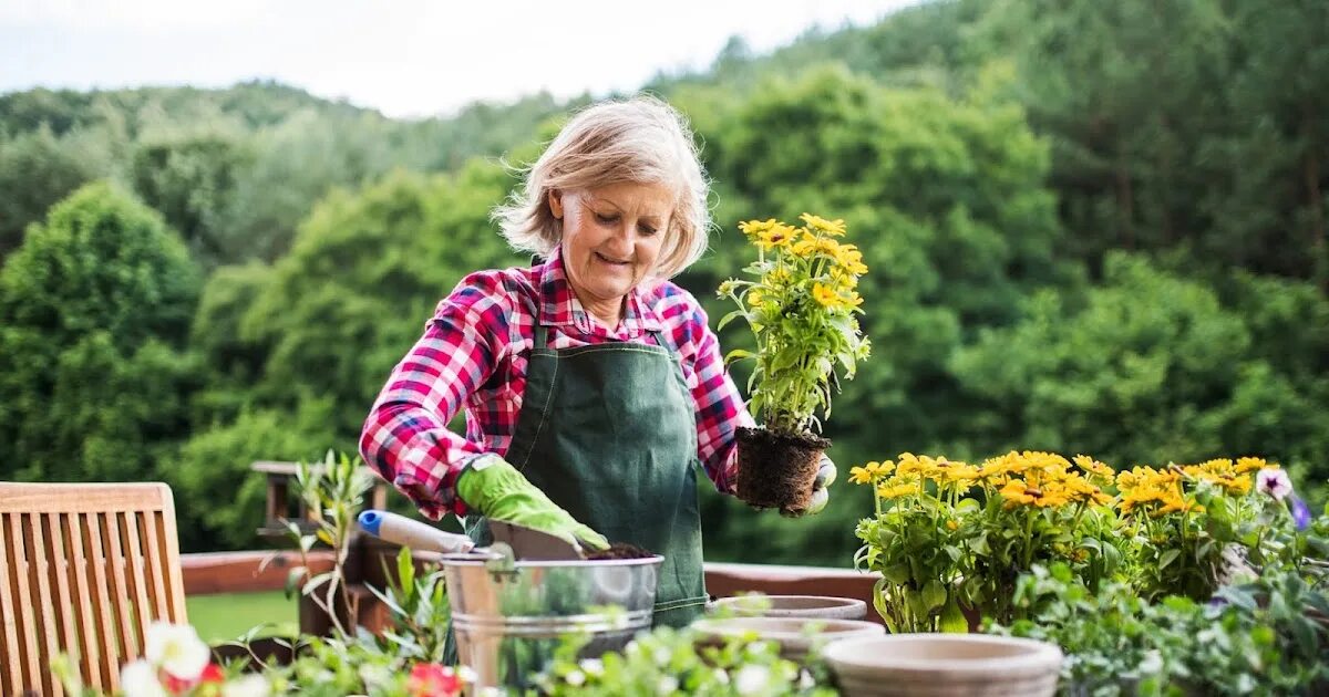Get my garden
