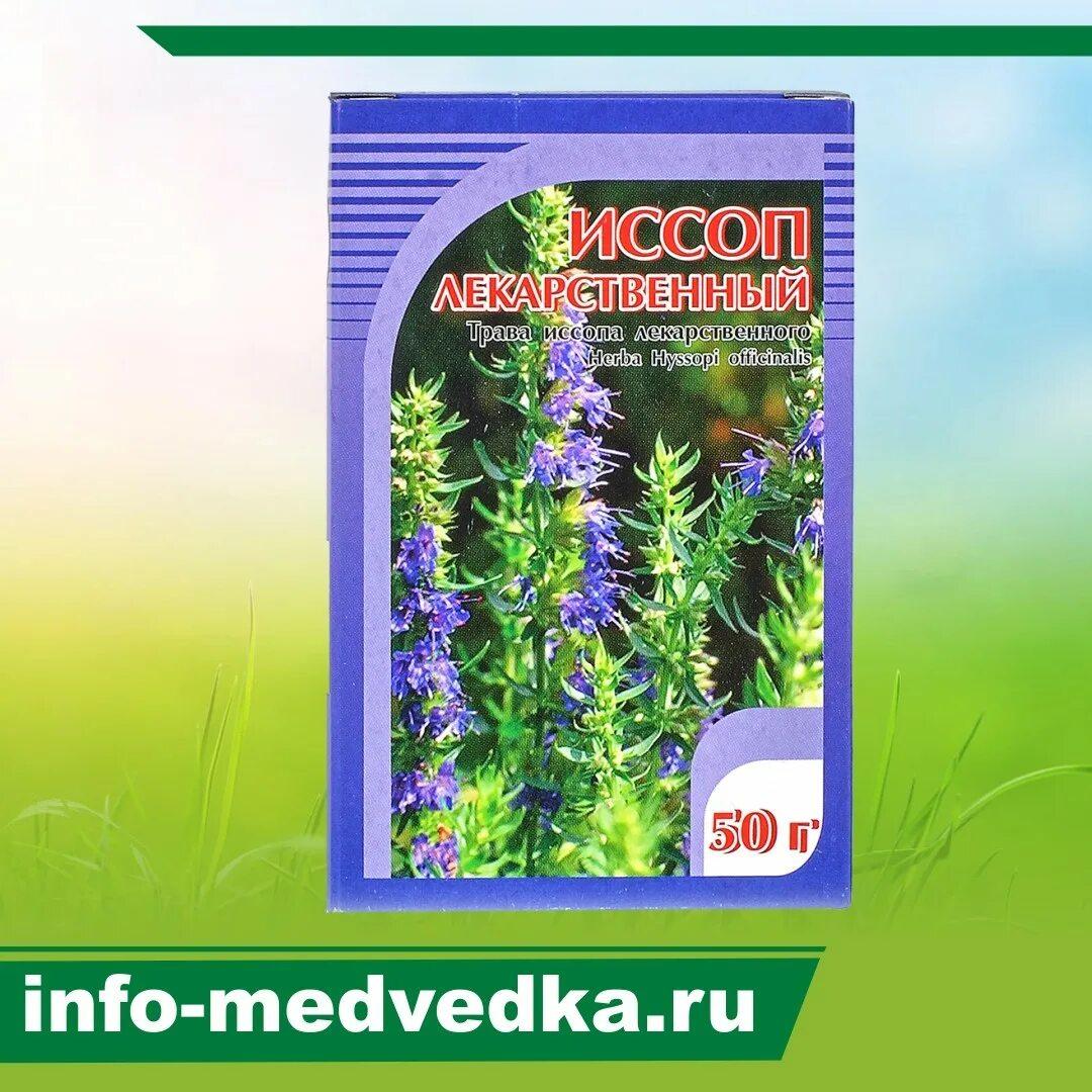 Иссоп зверобой. Иссоп трава это иссоп. Иссоп лекарственный голубой. Иссоп дачный лекарь, смесь. Иссоп лекарственный применение и противопоказания