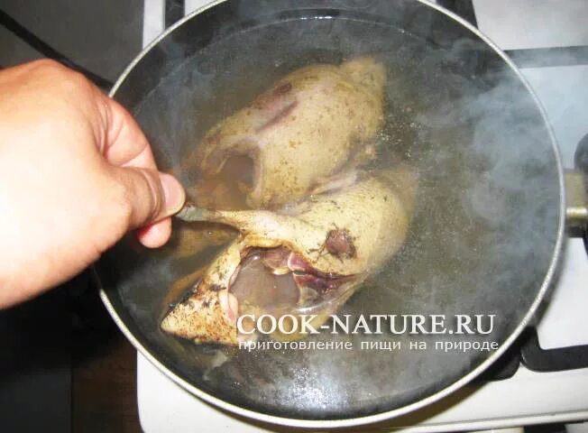 Сколько варить дикую. Приготовление дикой утки. Мясо дикой утки приготовленная. Приготовление диких уток блюдо. Бухлёр из дикой утки.