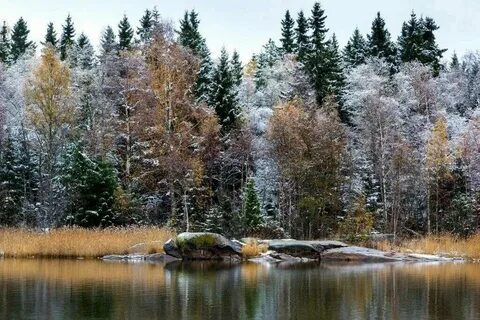 Ноябрьская природа картинки красивые