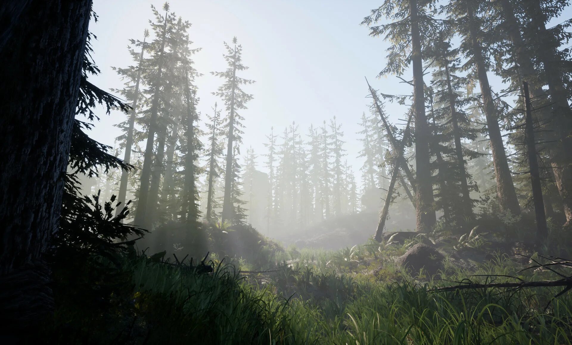 Гта 5 лес. Лес гта са. Леса в гта 5. Gta 5 forest. Лес ue4.