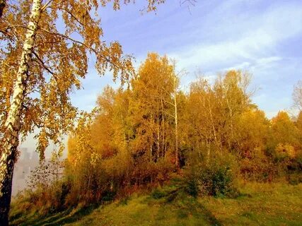 Осень верхняя