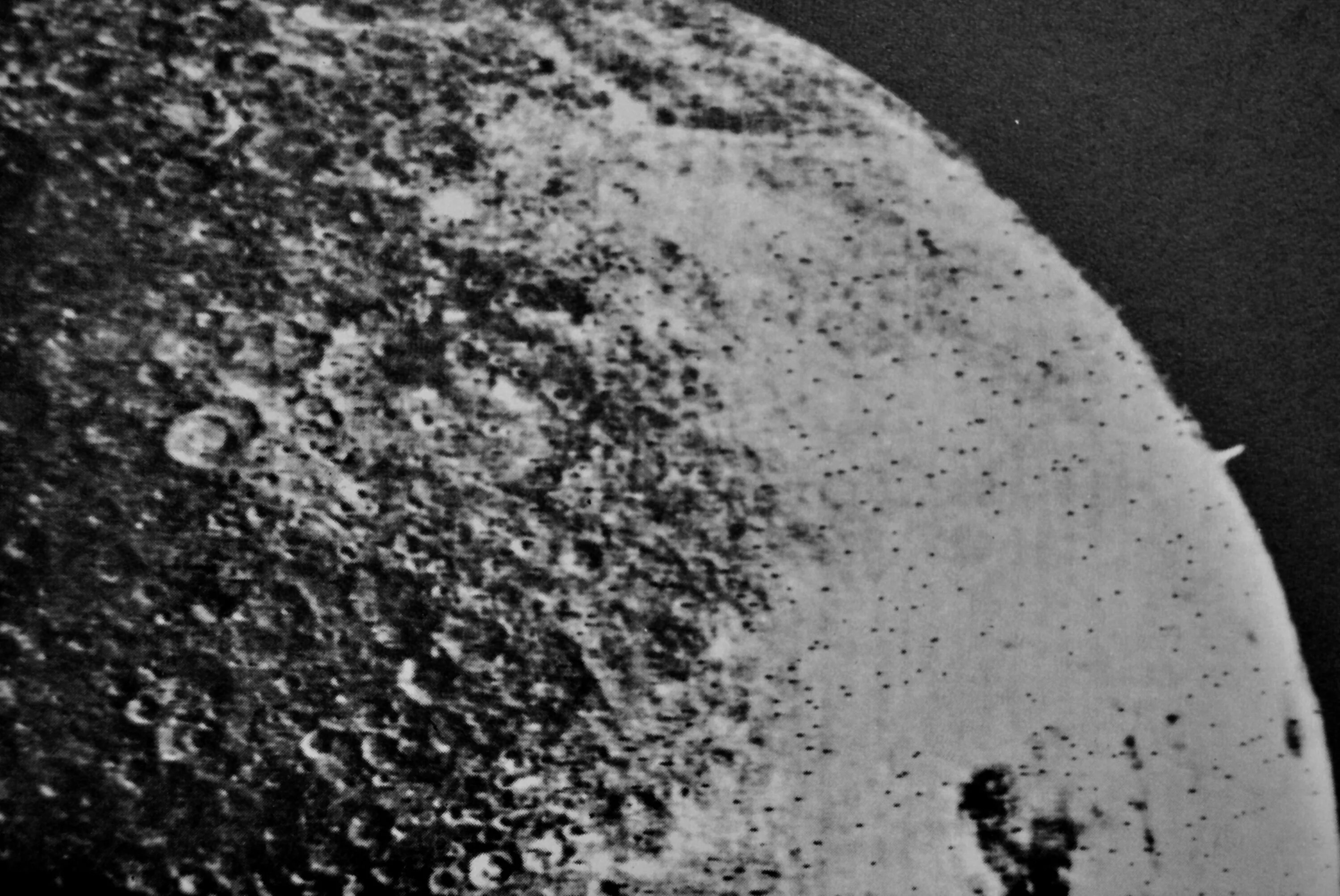 Тыс луне. Обратная сторона Луны Луна 3. Зонд 3 снимки Луны. Зонд-3 фото обратной стороны Луны. Обратная сторона Луны 1959.