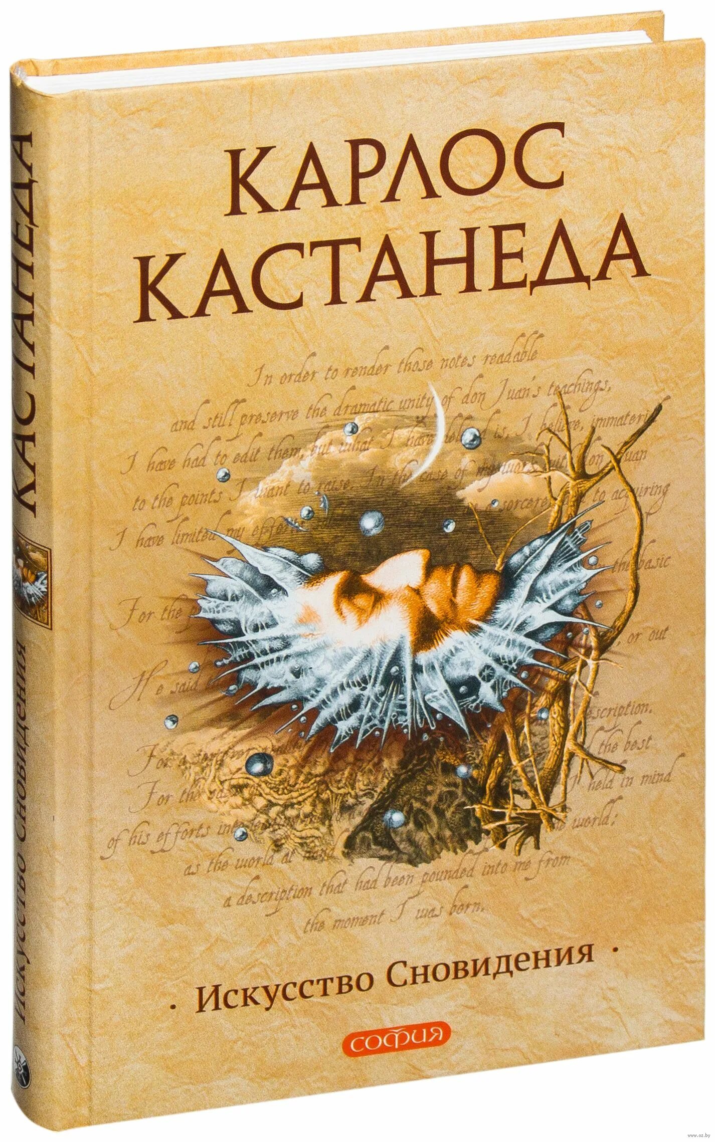 Кастанеда сновидения. Карлос кастанеда искусство сновидения. книга кастанеда искусство сновидения. карлос кастанеда - 1993 искусство сновидений. искусство сновидения карлос.
