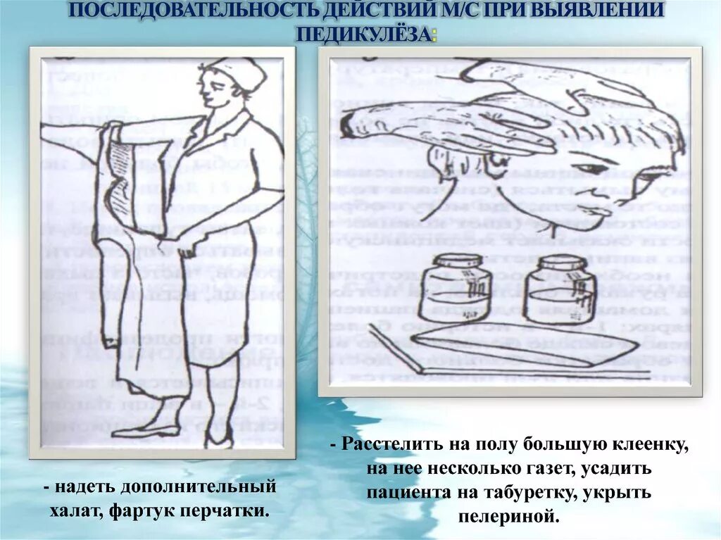 На педикулез осматриваются. Санитарная обработка пациента на педикулез алгоритм действия. Санитарная обработка пациента с педикулезом алгоритм. Алгоритм действий медицинской сестры при выявлении педикулеза. Алгоритм действий при выявлении педикулеза в стационаре.