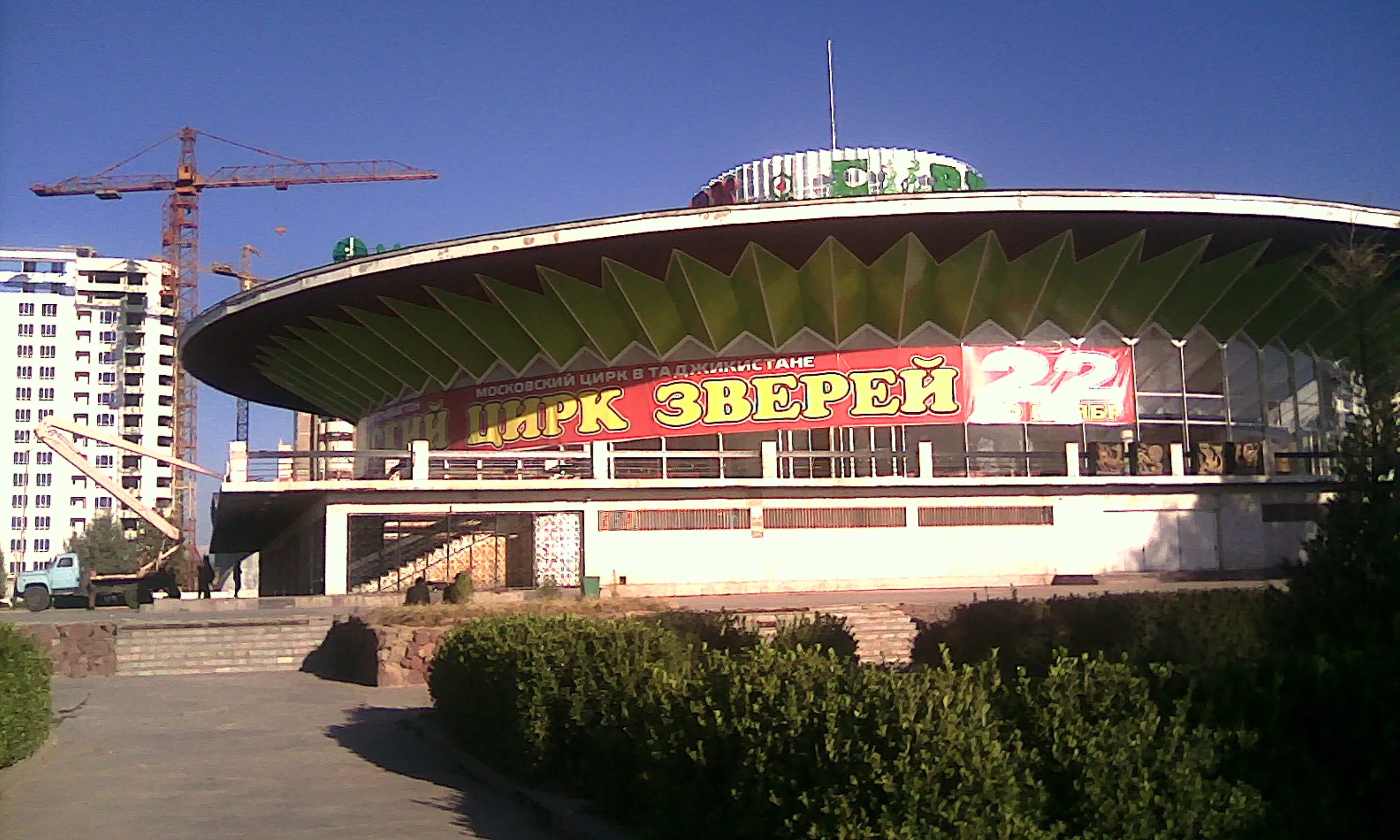 Здание цирка пермь. Магазин возле цирка. Л. Цирк дурова воронеж. Новосибирский цирк.